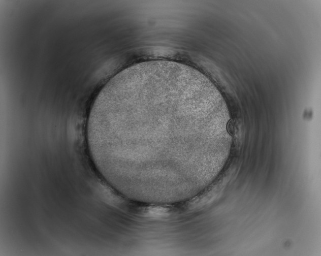 X0000102840462200809151108