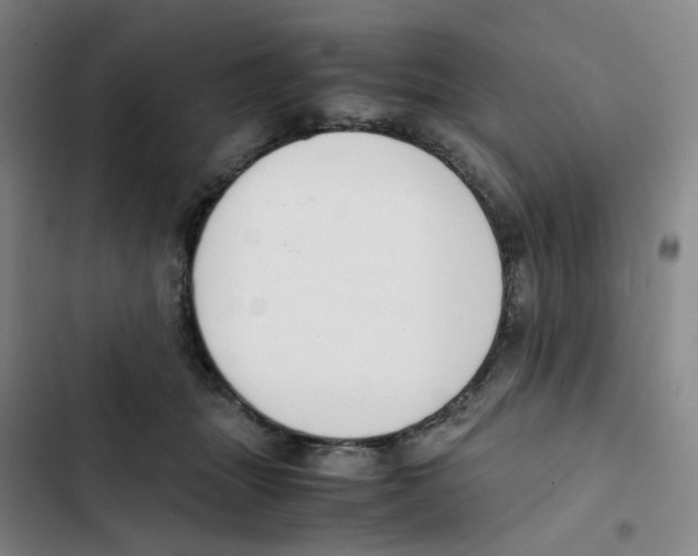 X0000102840463200809151108