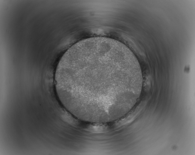 X0000102840466200809151108