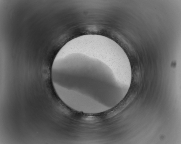 X0000102840467200809151108