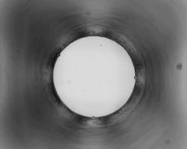 X0000102840468200809151108