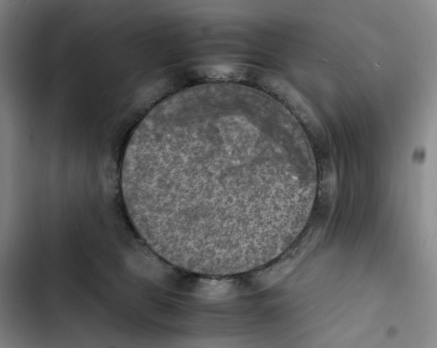 X0000102840469200809151108