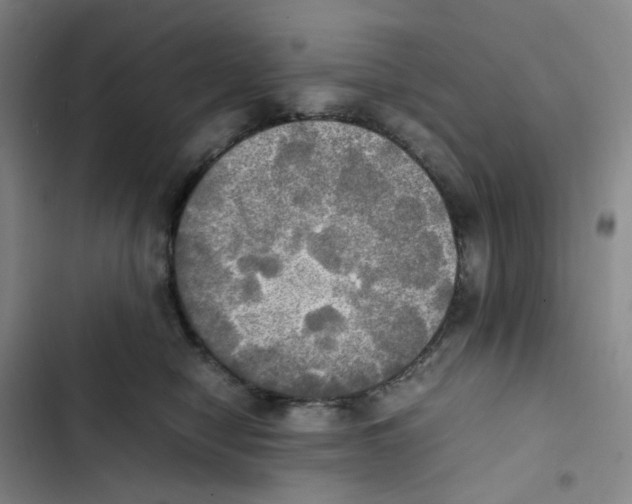 X0000102840470200809151108