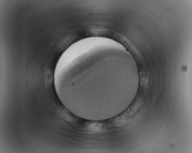 X0000102840471200809151108