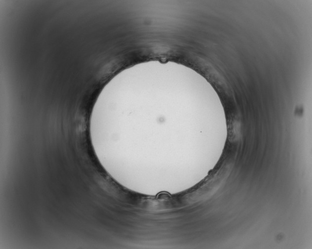 X0000102840472200809151108