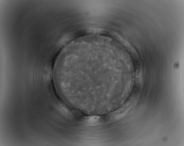 X0000102840474200809151108