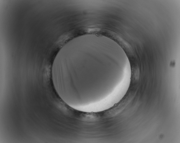 X0000102840475200809151108