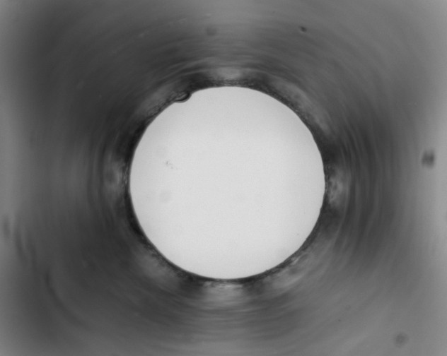 X0000102840476200809151108