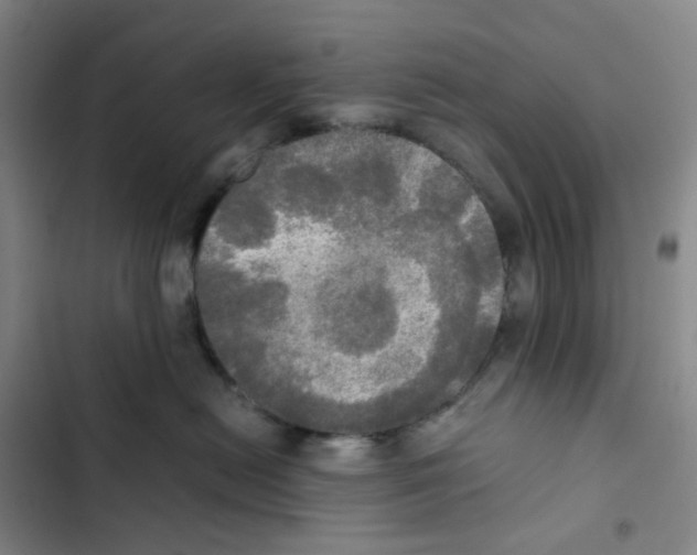 X0000102840478200809151108