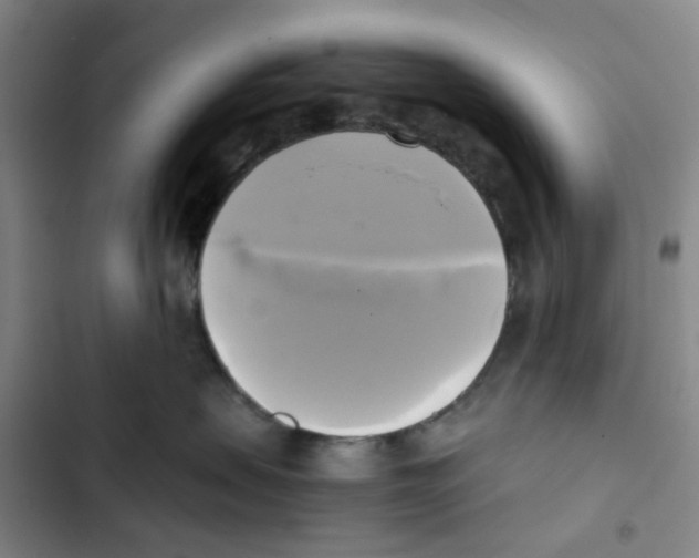 X0000102840479200809151108