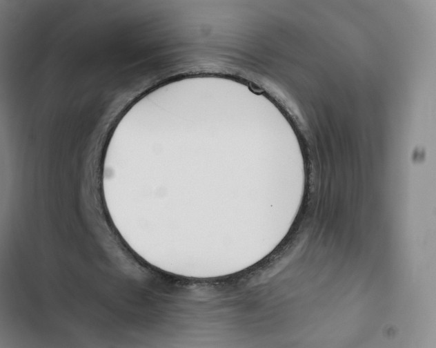 X0000102840481200809151108