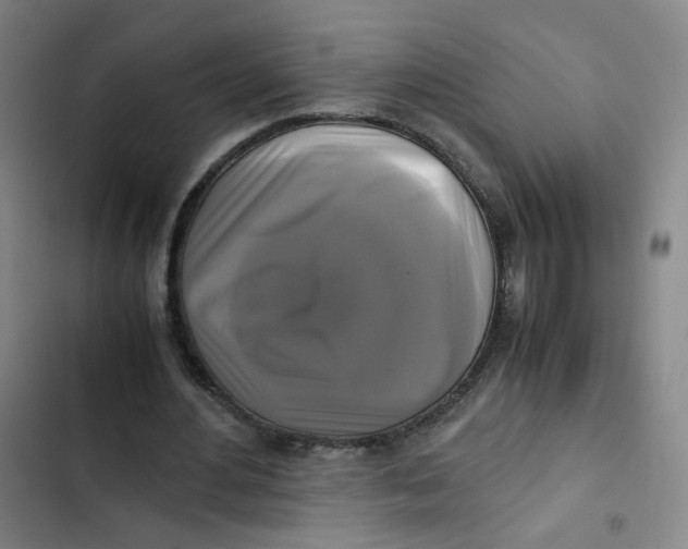 X0000102840484200809151107