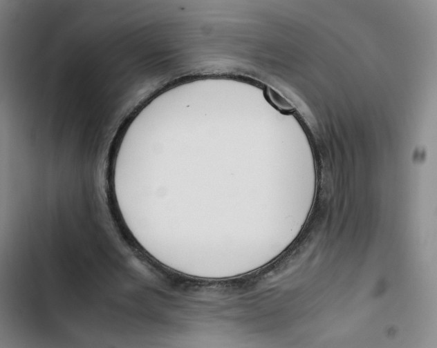 X0000102840485200809151107