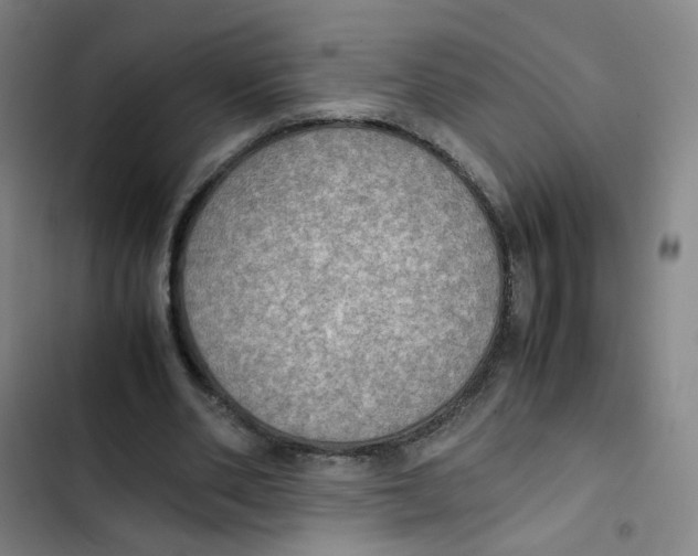 X0000102840486200809151107