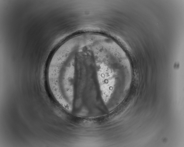 X0000102840487200809151107