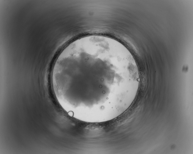 X0000102840491200809151107