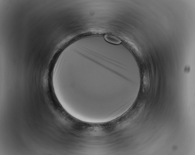 X0000102840492200809151107