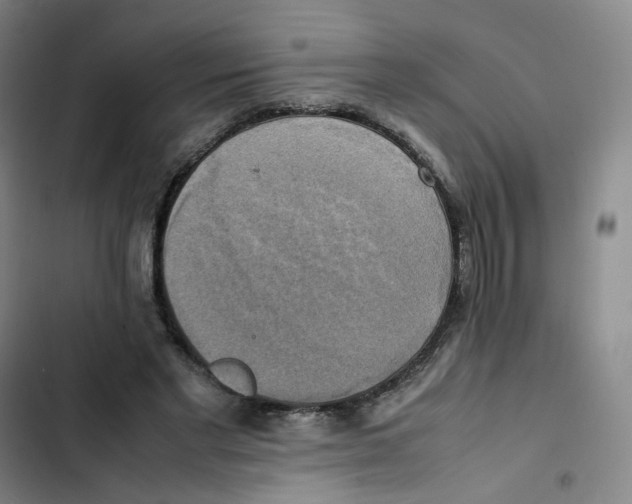 X0000102840493200809151107