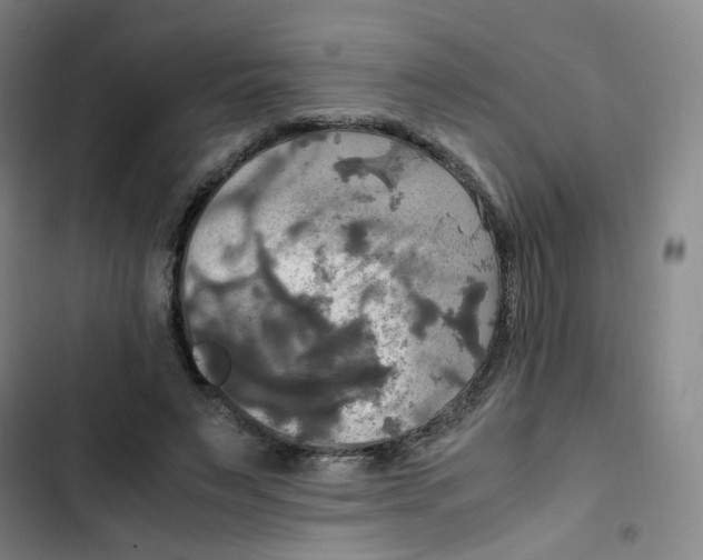 X0000102840495200809151107