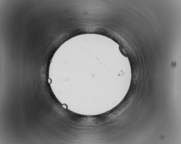 X0000102840497200809151107