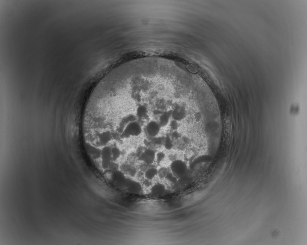 X0000102840499200809151107