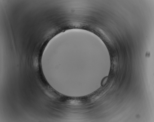 X0000102840500200809151107