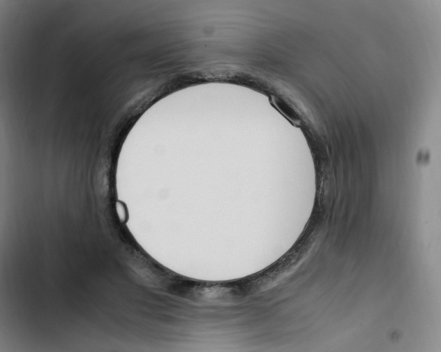 X0000102840501200809151107