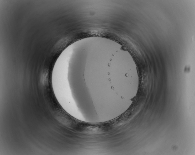 X0000102840502200809151107