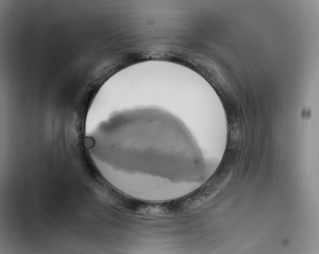 X0000102840503200809151107