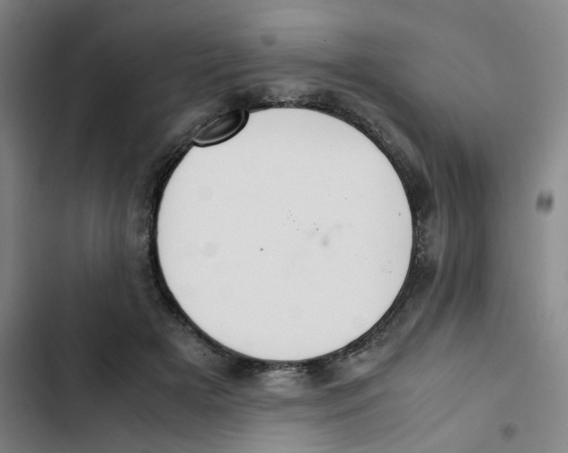 X0000102840505200809151107