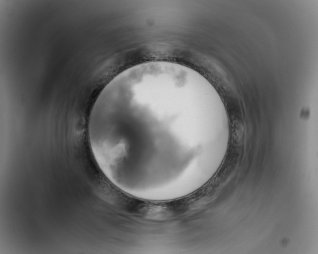 X0000102840507200809151107