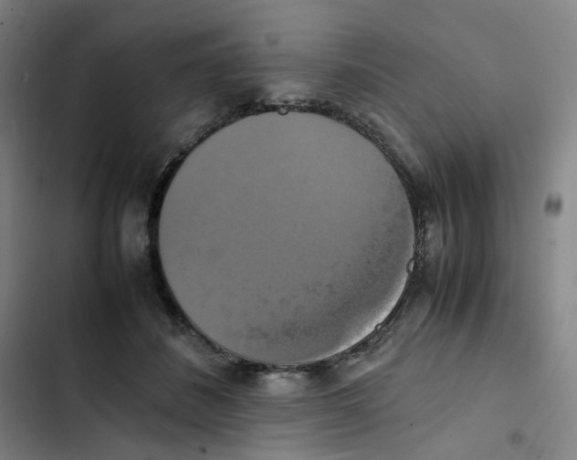 X0000102840508200809151107