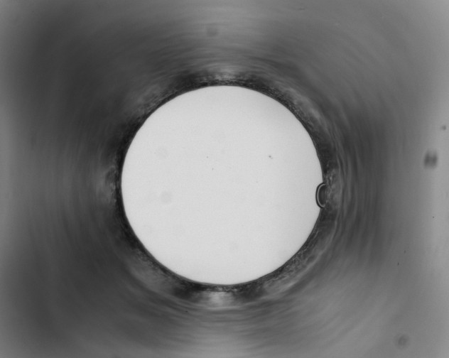 X0000102840509200809151107