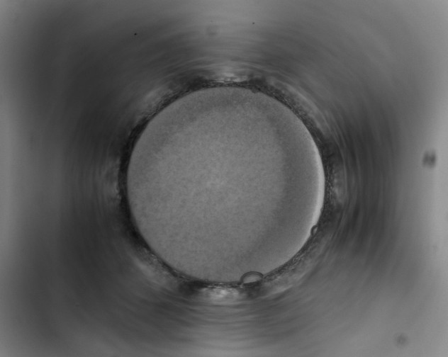 X0000102840512200809151107