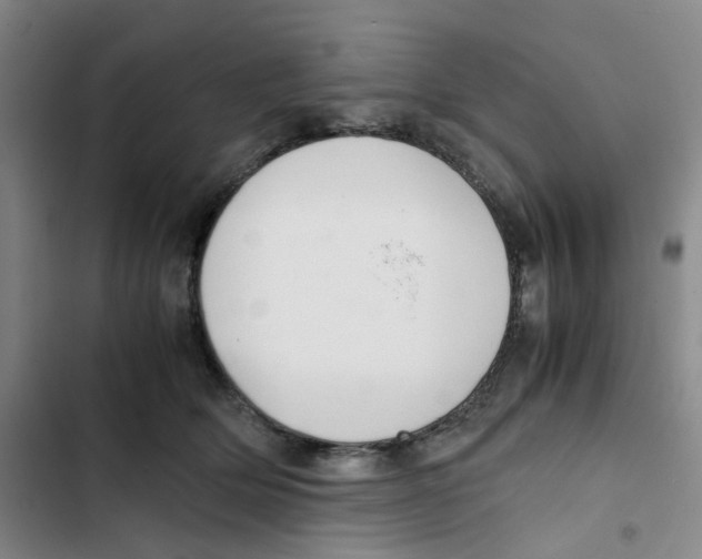 X0000102840514200809151107