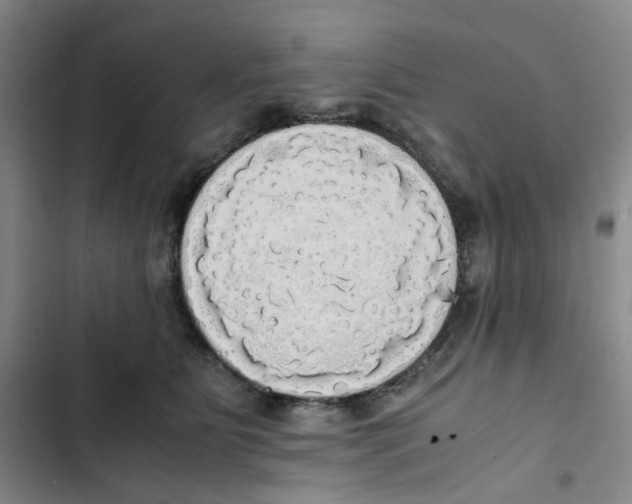 X0000102840515200809151107