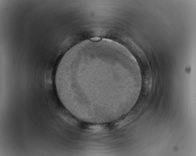 X0000102840516200809151107