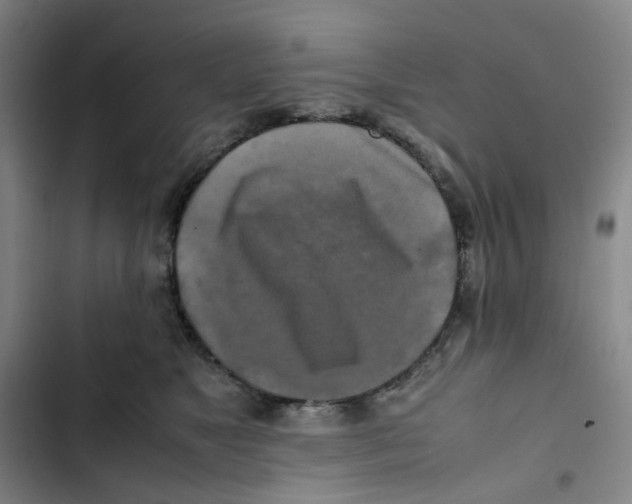 X0000102840517200809151107