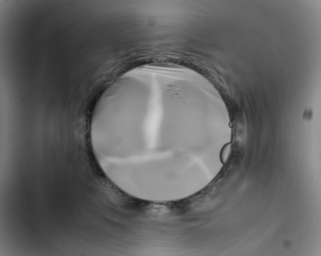 X0000102840519200809151107