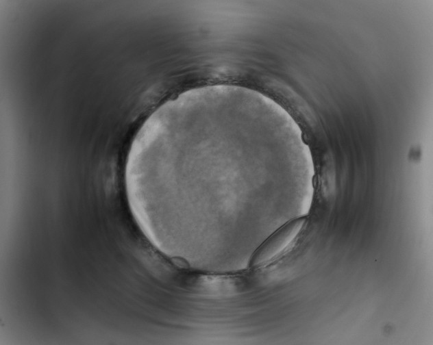 X0000102840520200809151107