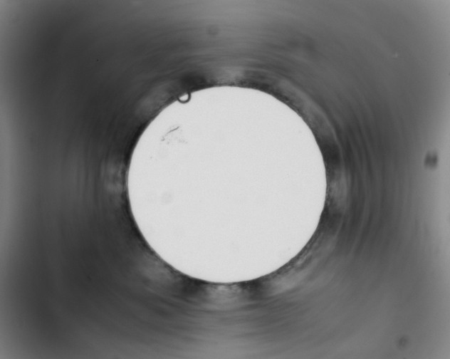 X0000102840525200809151107