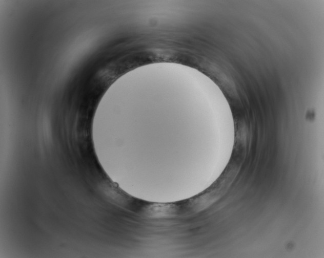 X0000102840526200809151107