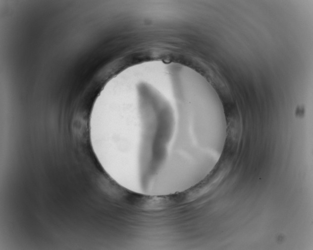 X0000102840527200809151107