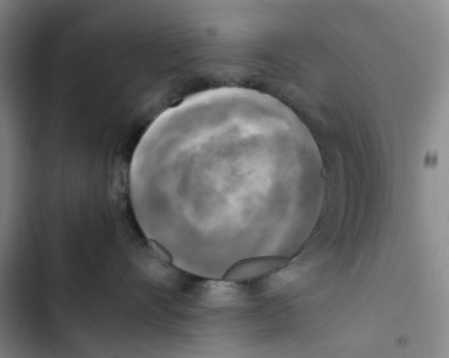 X0000102840528200809151107