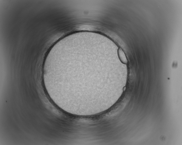 X0000102840529200809151106