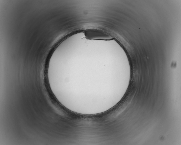 X0000102840530200809151106