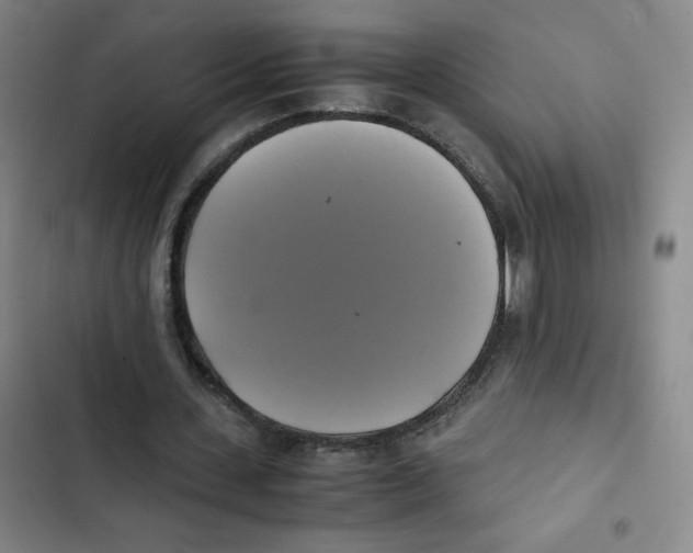 X0000102840531200809151106