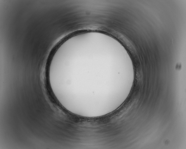 X0000102840532200809151106