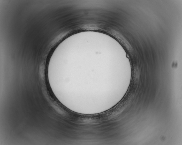 X0000102840533200809151106