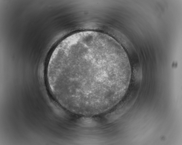 X0000102840534200809151106